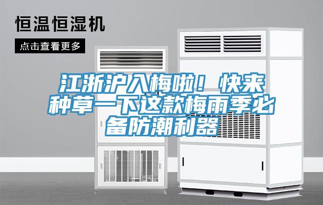 江浙滬入梅啦！快來種草一下這款梅雨季必備防潮利器