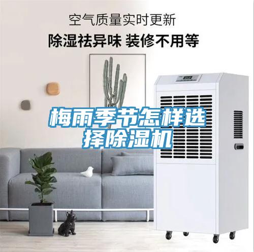 梅雨季節怎樣選擇草莓污视频在线看