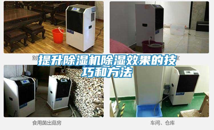 提升草莓污视频在线看除濕效果的技巧和方法