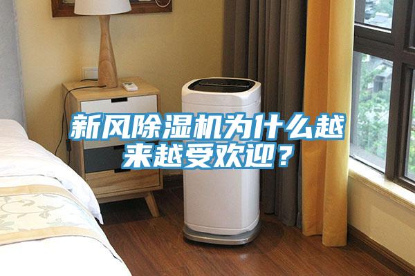 新風草莓污视频在线看為什麽越來越受歡迎？