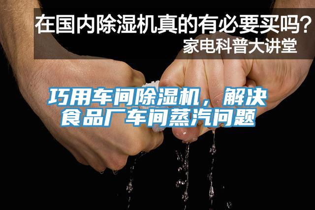 巧用車間草莓污视频在线看，解決食品廠車間蒸汽問題