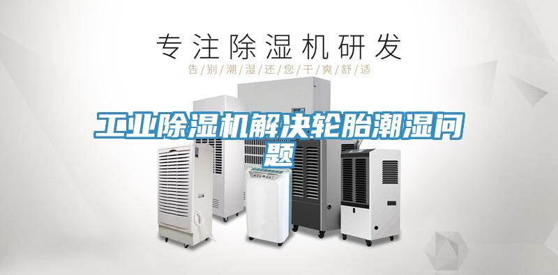 工業草莓污视频在线看解決輪胎潮濕問題