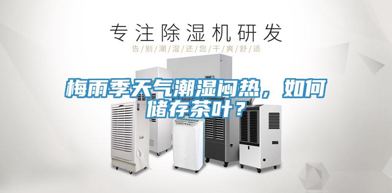 梅雨季天氣潮濕悶熱，如何儲存茶葉？