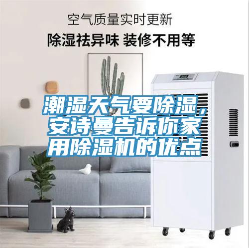 潮濕天氣要除濕，草莓视频性福宝告訴你家用草莓污视频在线看的優點