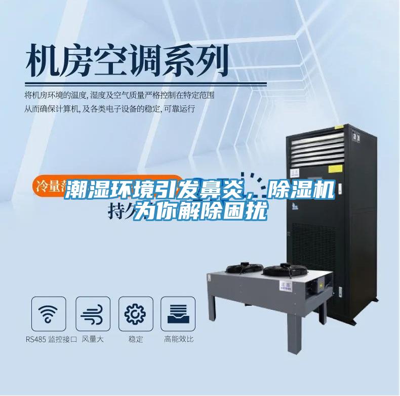 潮濕環境引發鼻炎，草莓污视频在线看為你解除困擾