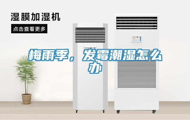 梅雨季，發黴潮濕怎麽辦