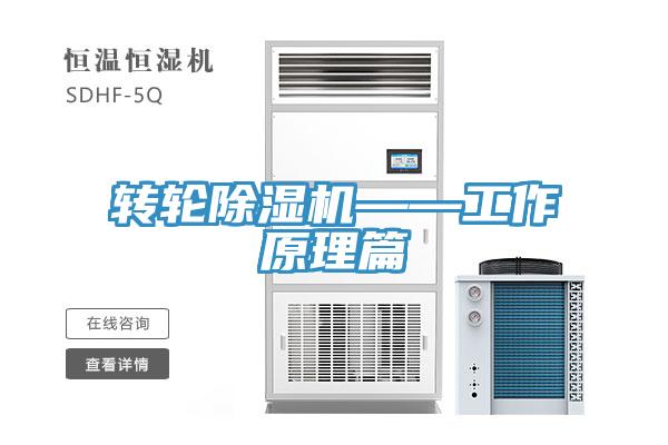 轉輪草莓污视频在线看——工作原理篇