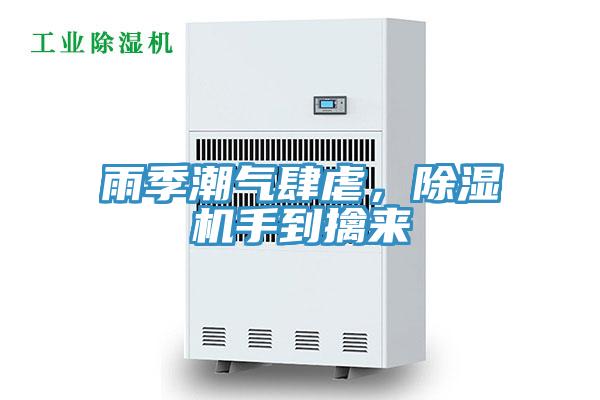 雨季潮氣肆虐，草莓污视频在线看手到擒來