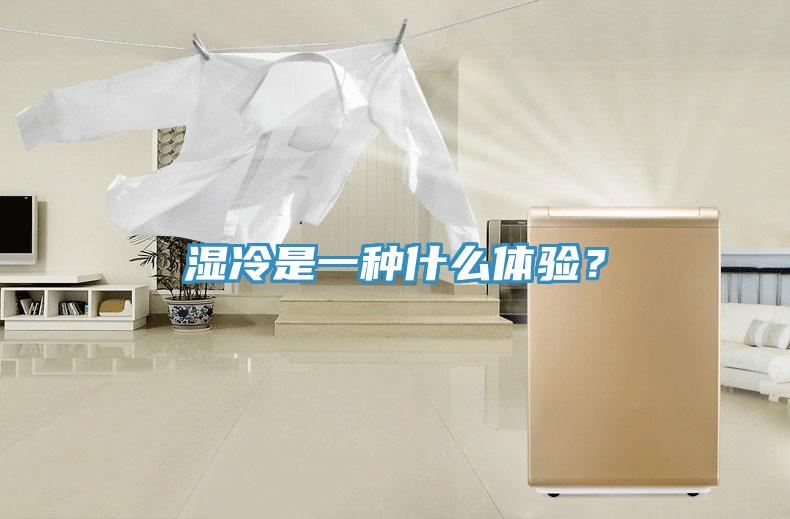 濕冷是一種什麽體驗？