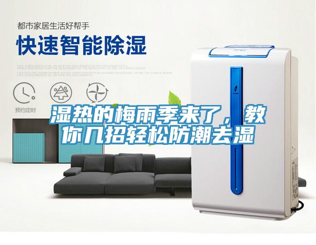 濕熱的梅雨季來了，教你幾招輕鬆防潮去濕