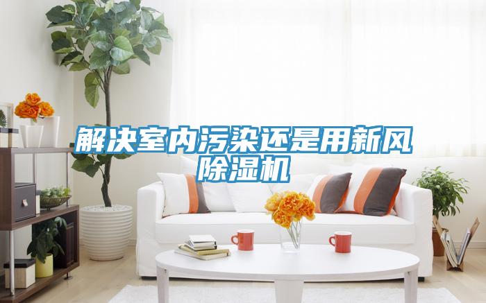 解決室內汙染還是用新風草莓污视频在线看