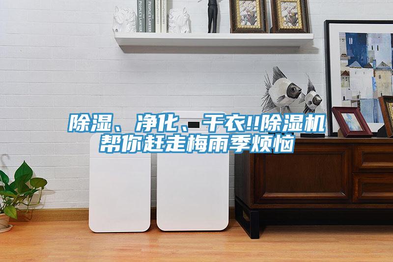 除濕、淨化、幹衣!!草莓污视频在线看幫你趕走梅雨季煩惱