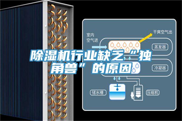 草莓污视频在线看行業缺乏“獨角獸”的原因