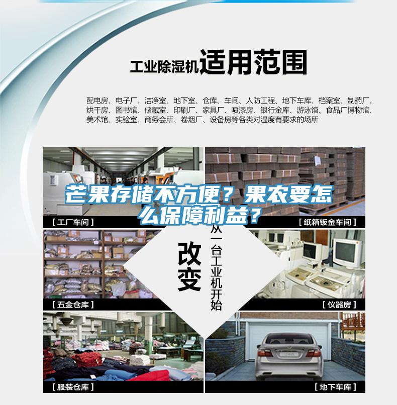 芒果存儲不方便？果農要怎麽保障利益？