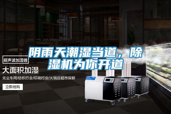 陰雨天潮濕當道，草莓污视频在线看為你開道