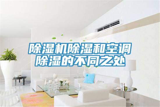 草莓污视频在线看除濕和空調除濕的不同之處