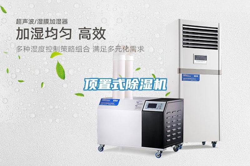 頂置式草莓污视频在线看