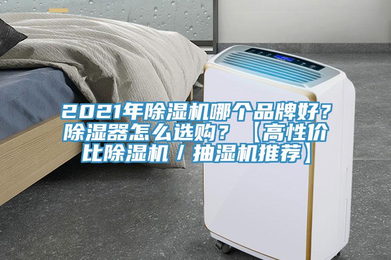 2021年草莓污视频在线看哪個品牌好？除濕器怎麽選購？【高性價比草莓污视频在线看／抽濕機推薦】