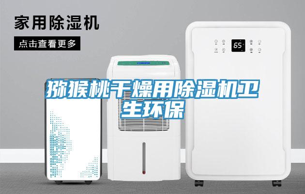 獼猴桃幹燥用草莓污视频在线看衛生環保