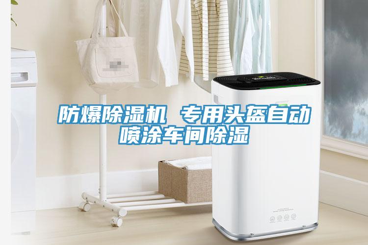 防爆草莓污视频在线看 專用頭盔自動噴塗車間除濕