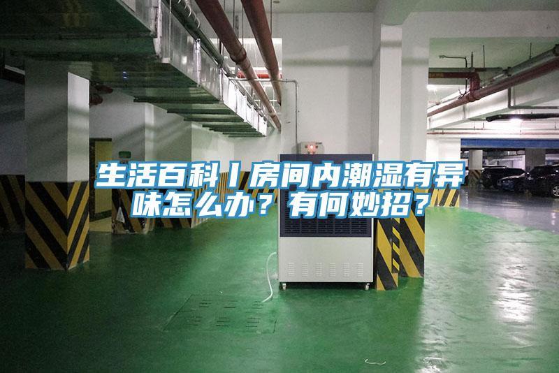 生活百科丨房間內潮濕有異味怎麽辦？有何妙招？