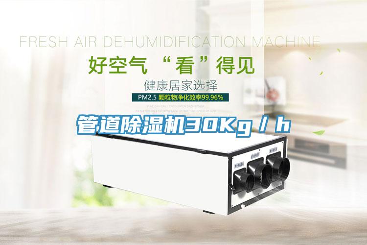 管道草莓污视频在线看30Kg／h