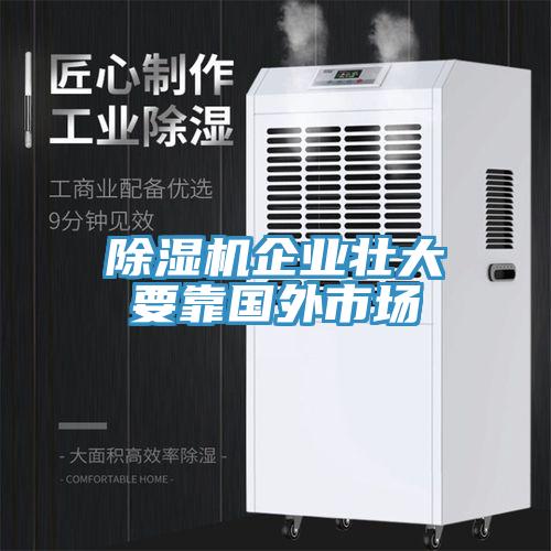 草莓污视频在线看企業壯大要靠國外市場
