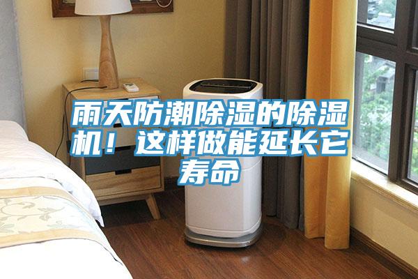 雨天防潮除濕的草莓污视频在线看！這樣做能延長它壽命