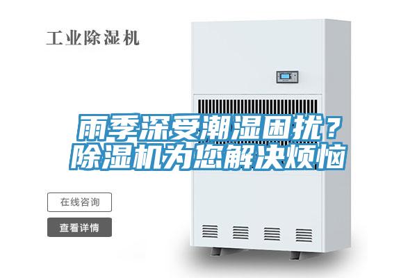 雨季深受潮濕困擾？草莓污视频在线看為您解決煩惱