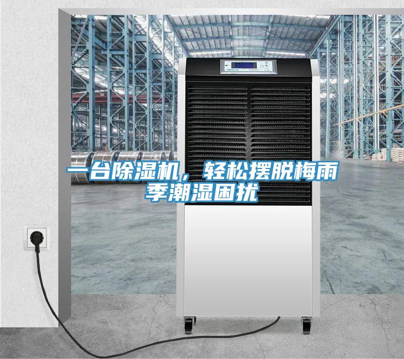 一台草莓污视频在线看，輕鬆擺脫梅雨季潮濕困擾