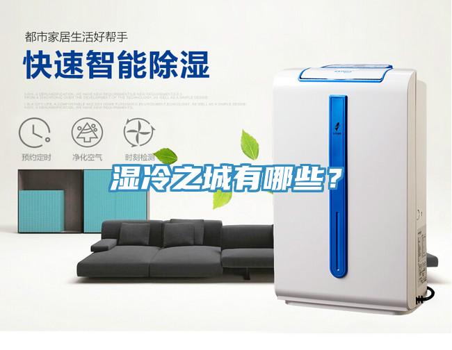 濕冷之城有哪些？