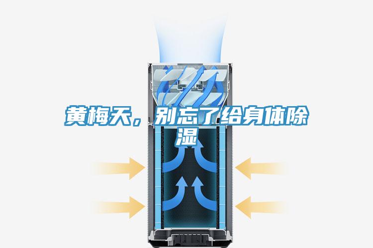 黃梅天，別忘了給身體除濕