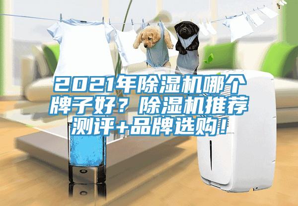 2021年草莓污视频在线看哪個牌子好？草莓污视频在线看推薦測評+品牌選購！