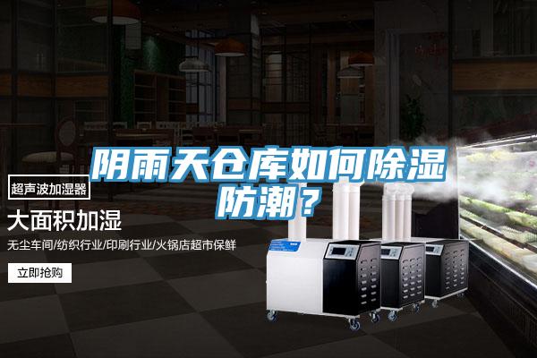 陰雨天倉庫如何除濕防潮？