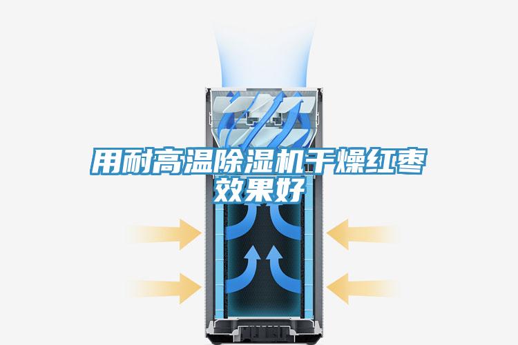 用耐高溫草莓污视频在线看幹燥紅棗效果好