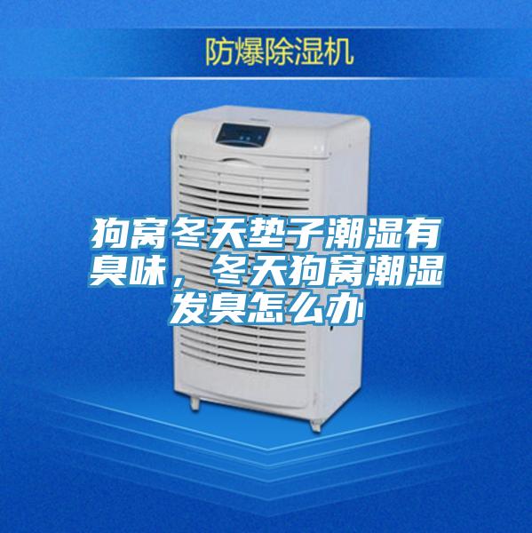 狗窩冬天墊子潮濕有臭味，冬天狗窩潮濕發臭怎麽辦