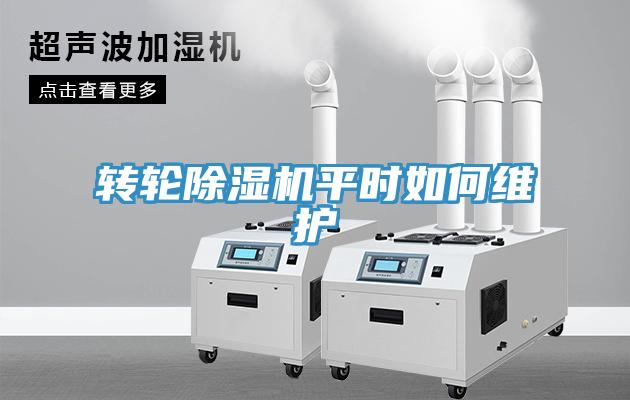 轉輪草莓污视频在线看平時如何維護
