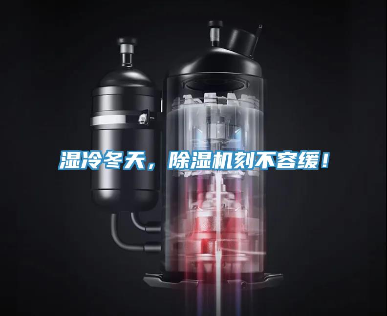 濕冷冬天，草莓污视频在线看刻不容緩！