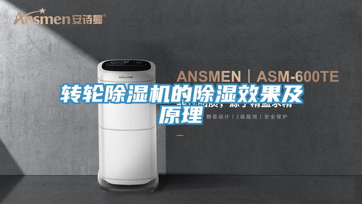 轉輪草莓污视频在线看的除濕效果及原理