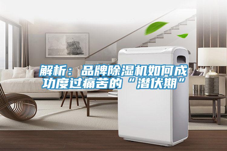 解析：品牌草莓污视频在线看如何成功度過痛苦的“潛伏期”