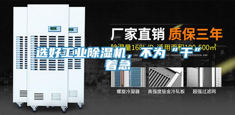 選好工業草莓污视频在线看，不為“幹”著急