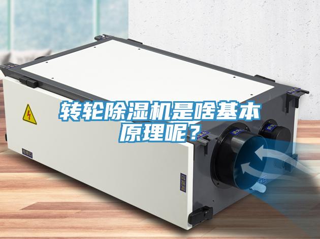 轉輪草莓污视频在线看是啥基本原理呢？