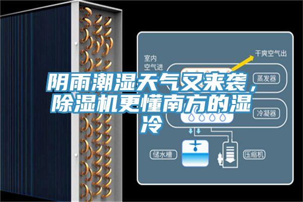 陰雨潮濕天氣又來襲，草莓污视频在线看更懂南方的濕冷