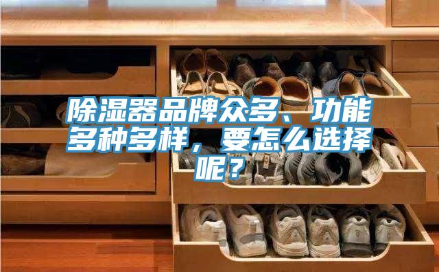 除濕器品牌眾多、功能多種多樣，要怎麽選擇呢？