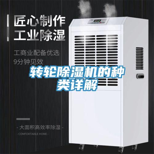 轉輪草莓污视频在线看的種類詳解