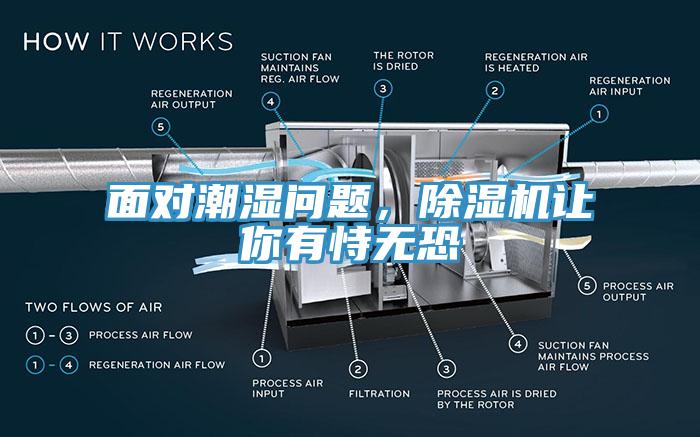 麵對潮濕問題，草莓污视频在线看讓你有恃無恐
