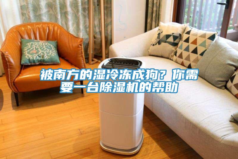 被南方的濕冷凍成狗？你需要一台草莓污视频在线看的幫助
