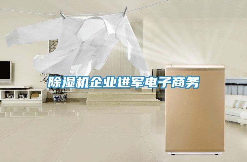 草莓污视频在线看企業進軍電子商務