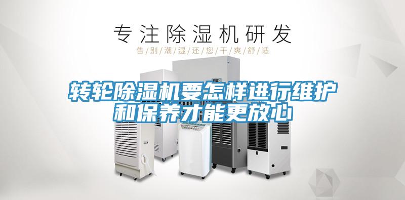 轉輪草莓污视频在线看要怎樣進行維護和保養才能更放心