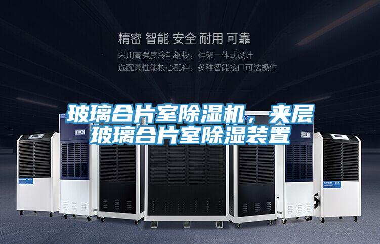 玻璃合片室草莓污视频在线看，夾層玻璃合片室除濕裝置